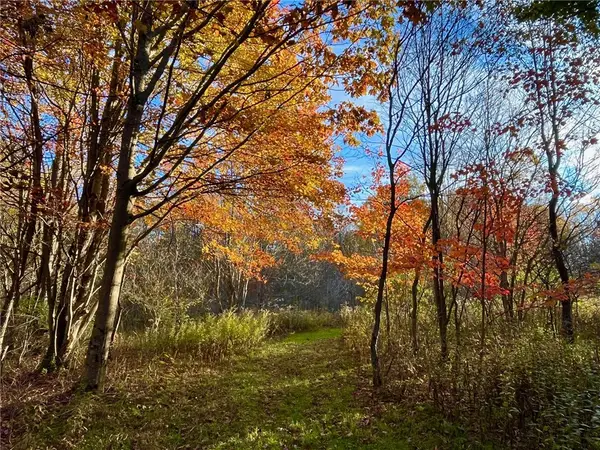 Nys Route 98, Franklinville, NY 14737