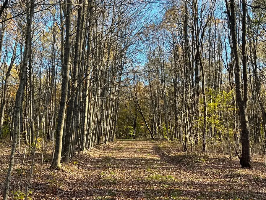Nys Route 98, Franklinville, NY 14737 - #3