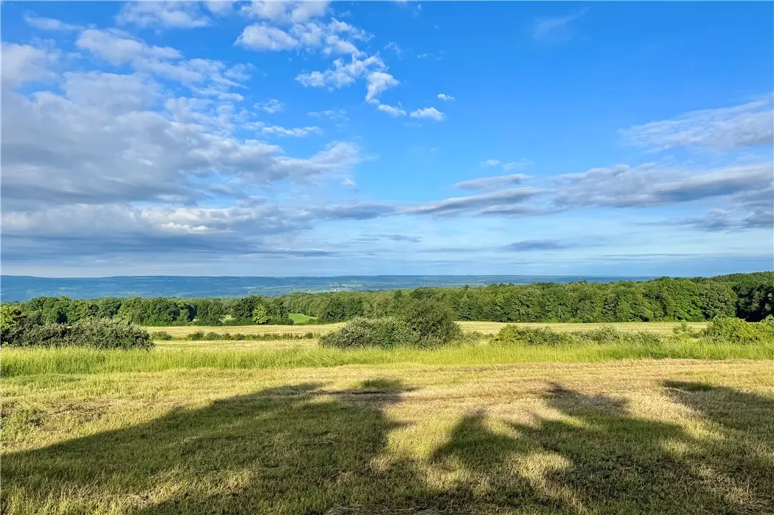 Lot 1 0 County Road 4, Hector, NY 14841 - #1