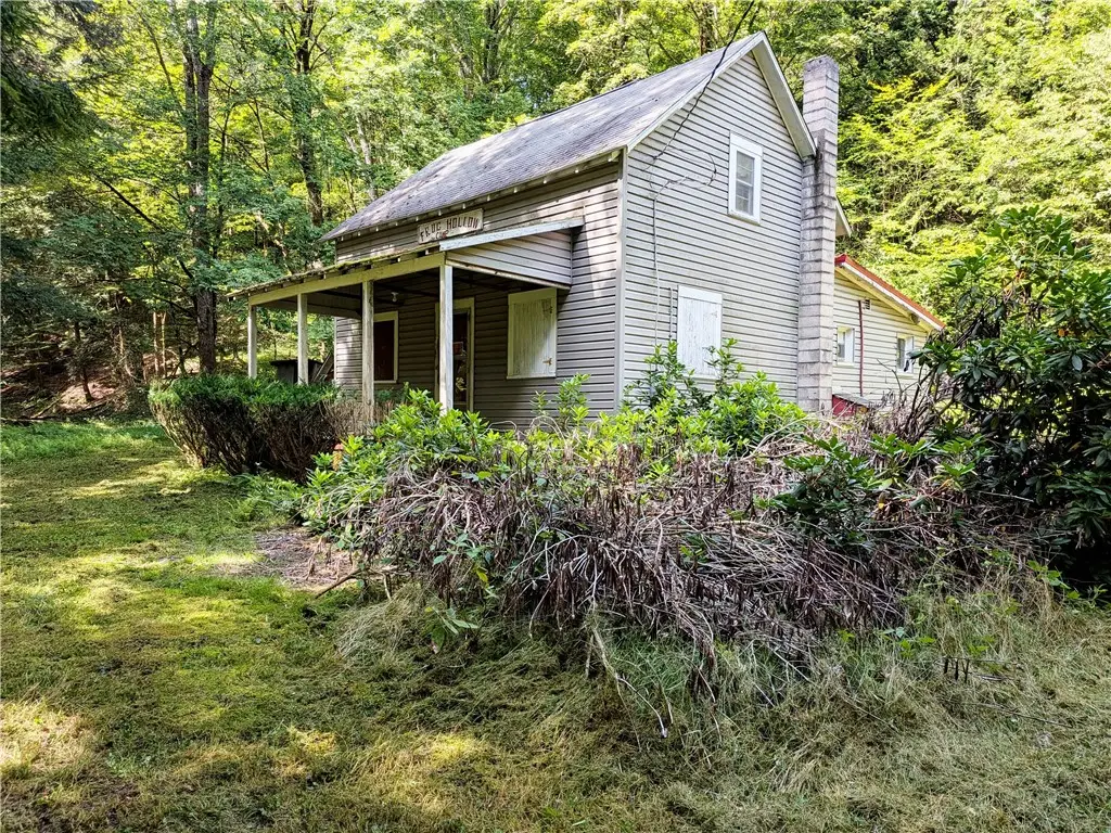 164 Bailey Avenue, Smethport, PA 16749 - #1