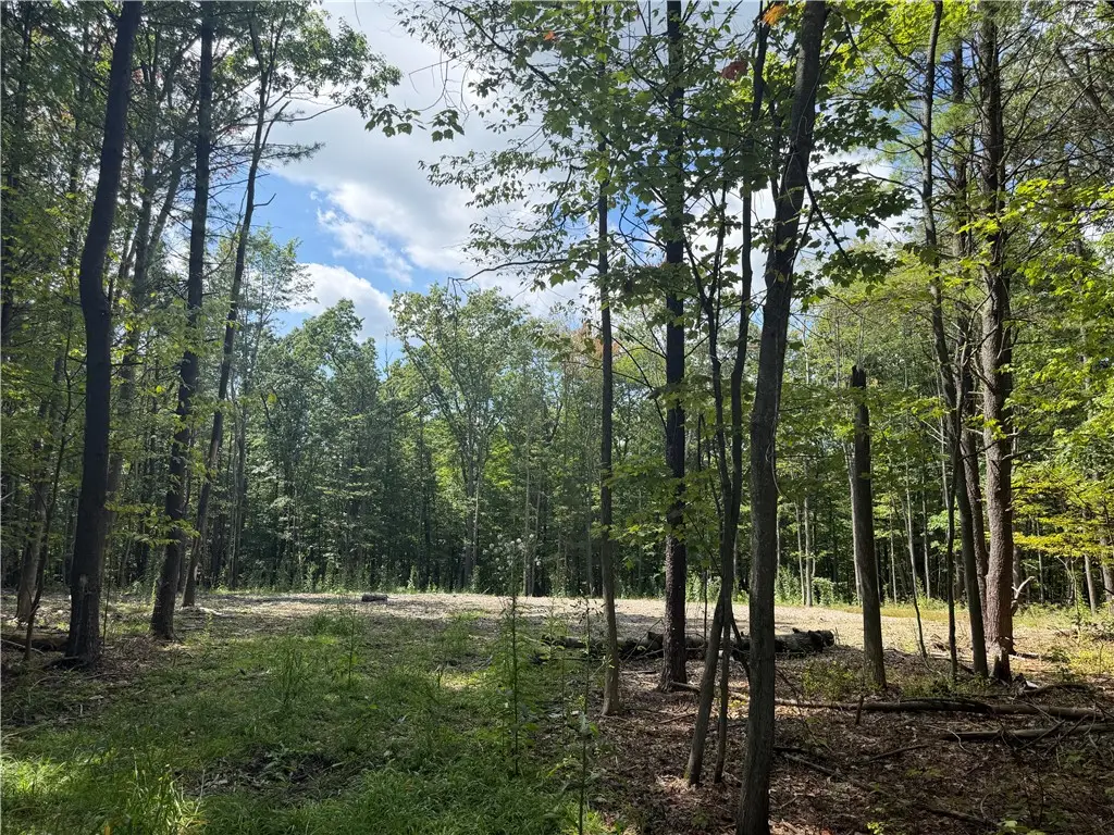 000/Lot 6 Prospect Ridge, Big Flats, NY 14814 - #1