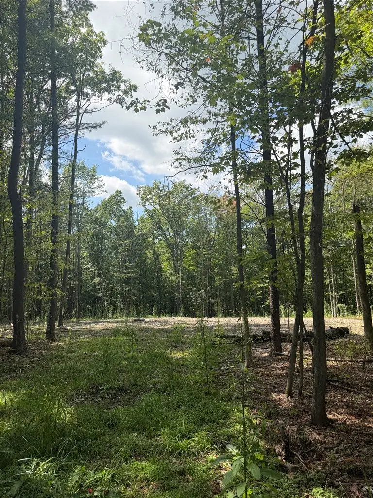 000/Lot 6 Prospect Ridge, Big Flats, NY 14814 - #2