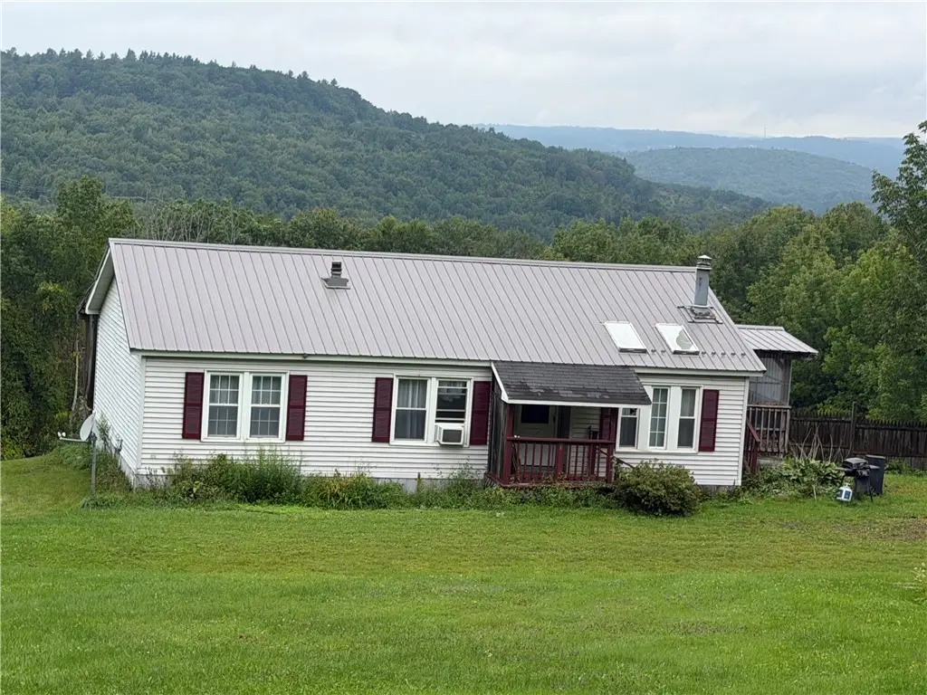178 Dunshee Road, Unadilla, NY 13849 - #1