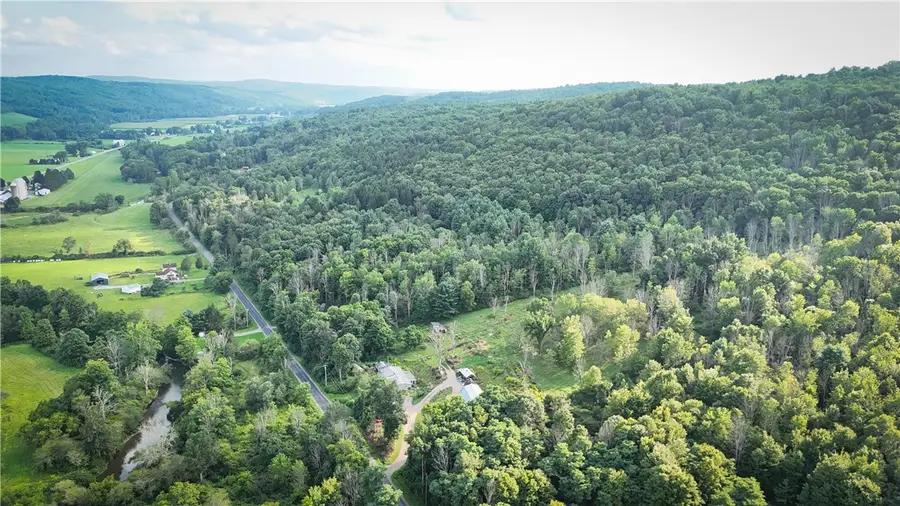 234 W Back West Creek Road, Candor, NY 13743 - #3