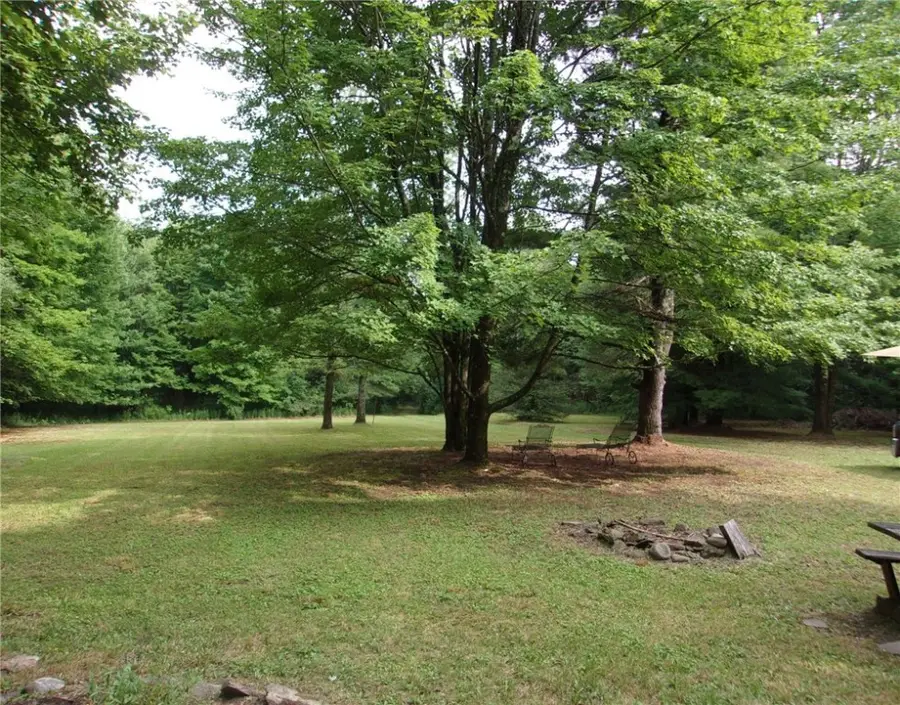 177 Tubbs Hill Road, Candor, NY 13743 - #3
