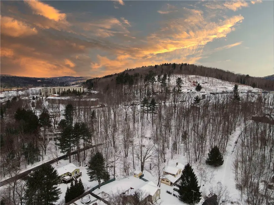 18 Carson Road, Oneonta, NY 13820 - #2