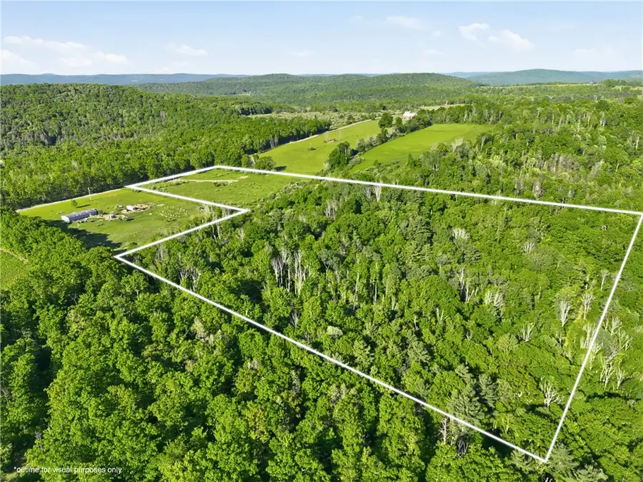 0 Hagerman Rd, Waverly, NY 14892 - #2