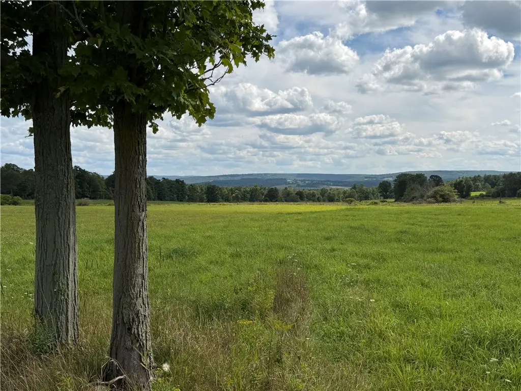 VL Barney Road N, Fillmore, NY 14735 - #1