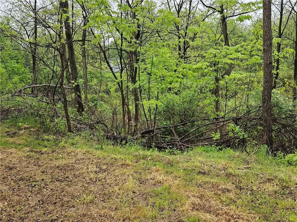 284 Berwick Turnpike, Wellsburg, NY 14894 - #1
