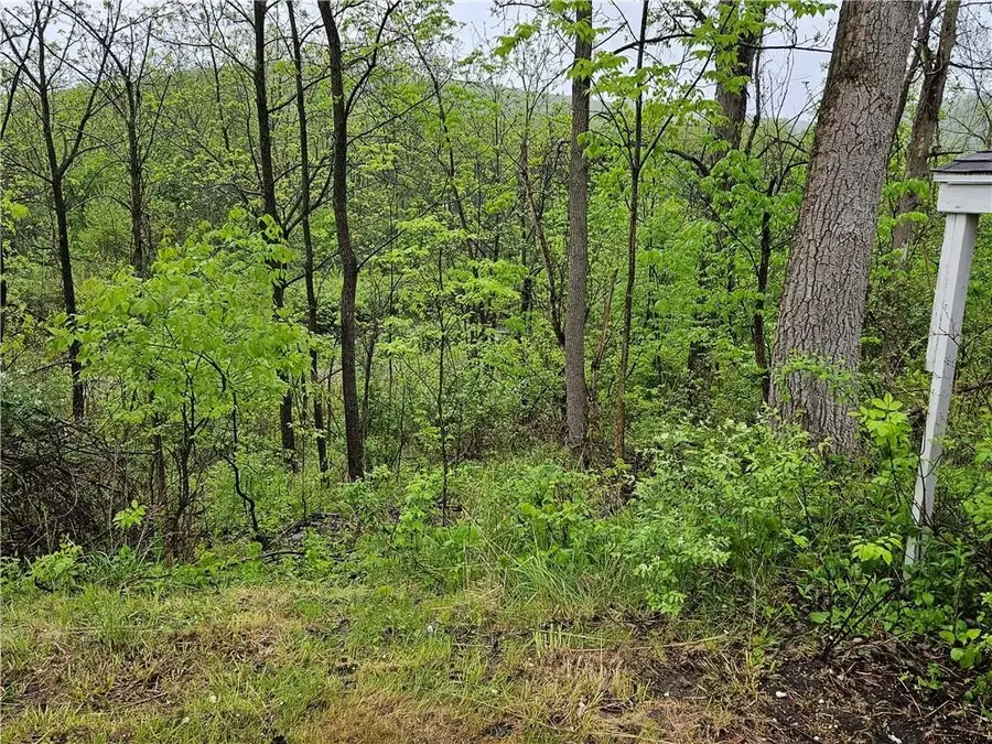 284 Berwick Turnpike, Wellsburg, NY 14894 - #2
