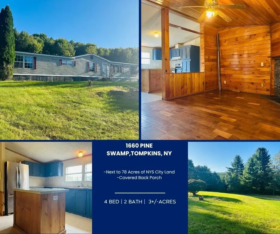 1660 Pine Swamp Road, Sidney Center, NY 13839 - #1