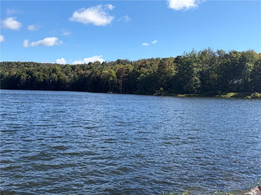 122 Deerfield Lane S, Smyrna, NY 13464 - #2