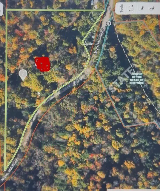 Morris Hill Road, Millport, NY 14864 - #1