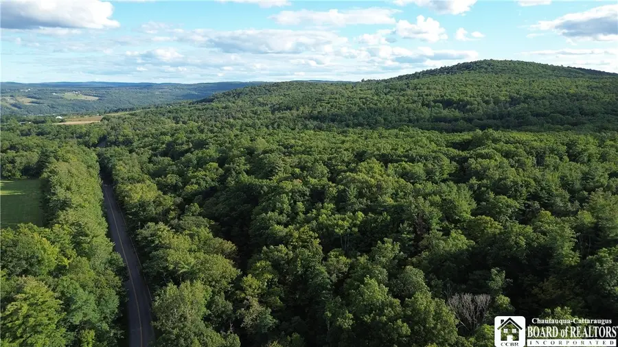9492 Irwin, Hammondsport, NY 14840 - #3