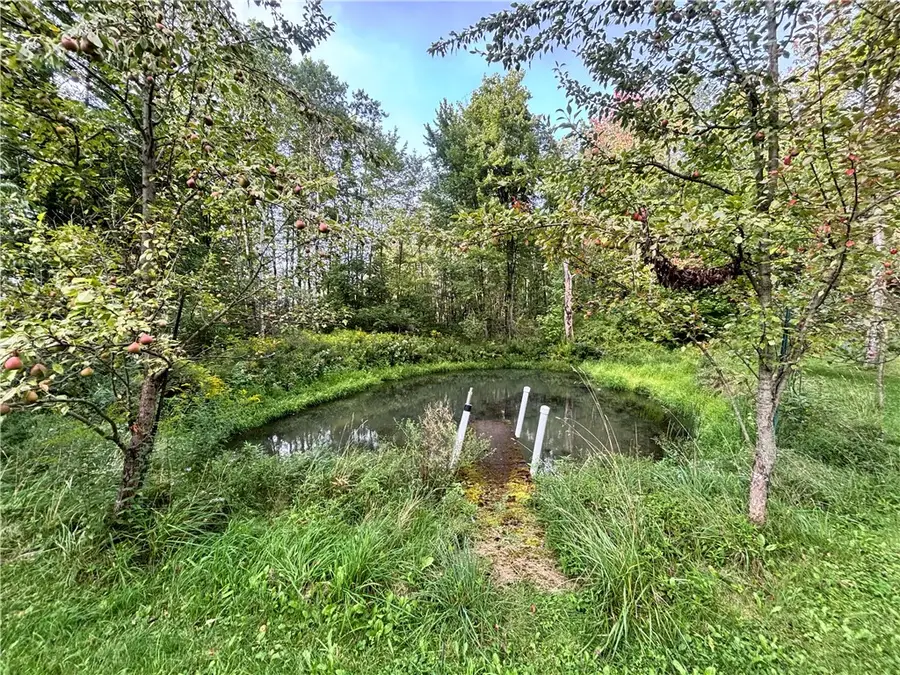 100 Seely Hill Road, Newfield, NY 14867 - #3