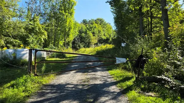 Black Ash Road, Woodhull, NY 14898