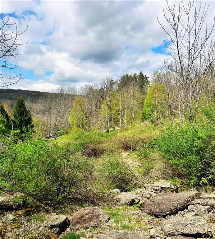 Sisson Hill Road, Unadilla, NY 13849 - #3