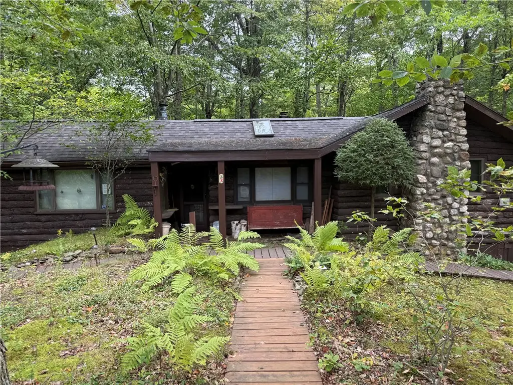 6804 Canadice Hill Road, Springwater, NY 14560 - #1