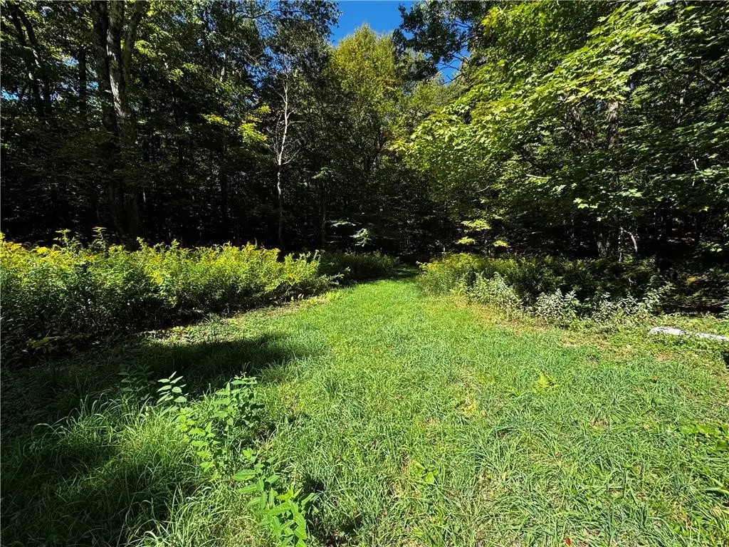 185 Kaine Road, Altmar, NY 13302 - #1