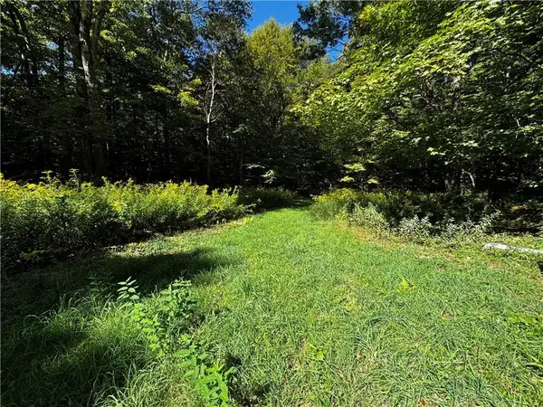 185 Kaine Road, Altmar, NY 13302