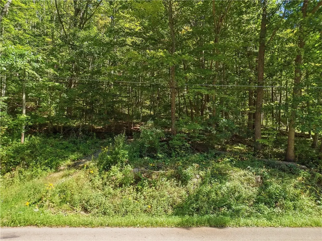 River Road, Lindley, NY 14858 - #1