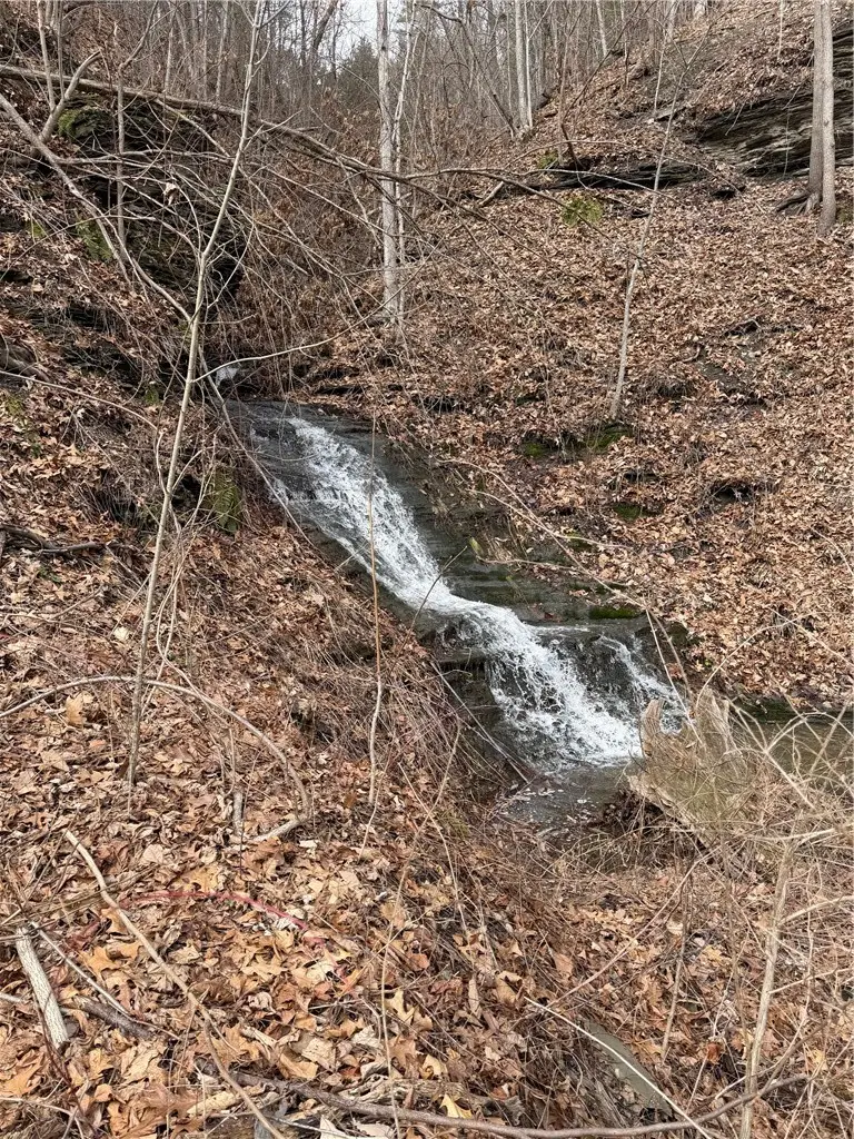Rt-21, Naples, NY 14512 - #2