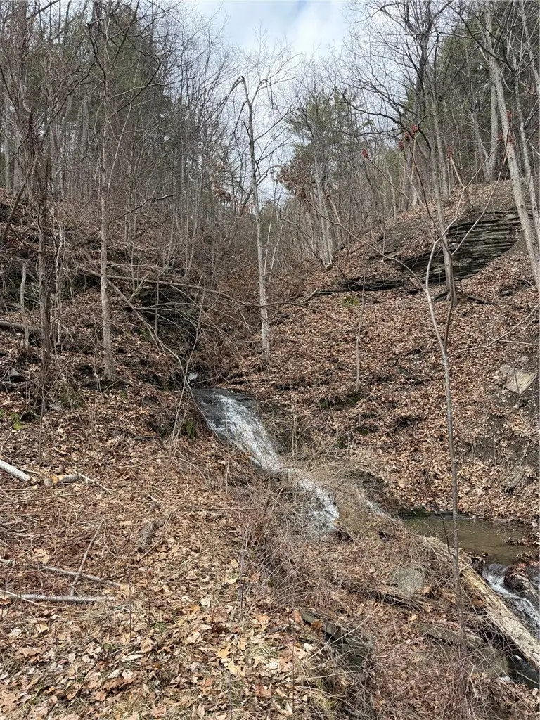 Rt-21, Naples, NY 14512 - #3