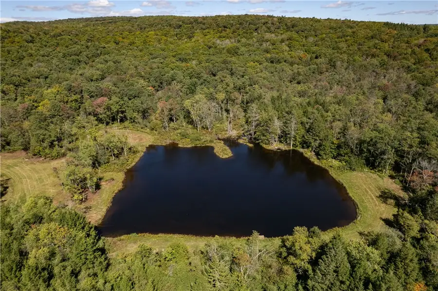 Terwilliger Road, Livingston Manor, NY 12758 - #3
