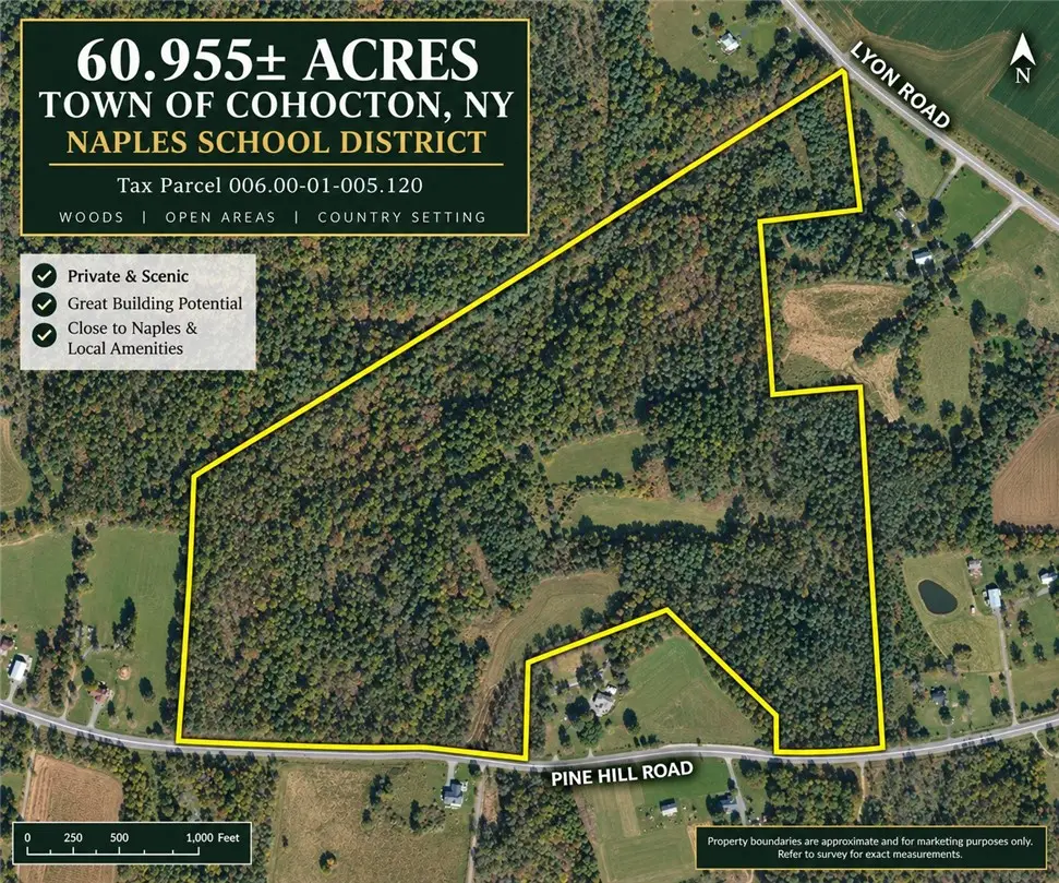 0 Lyon Road, Naples, NY 14512 - #1