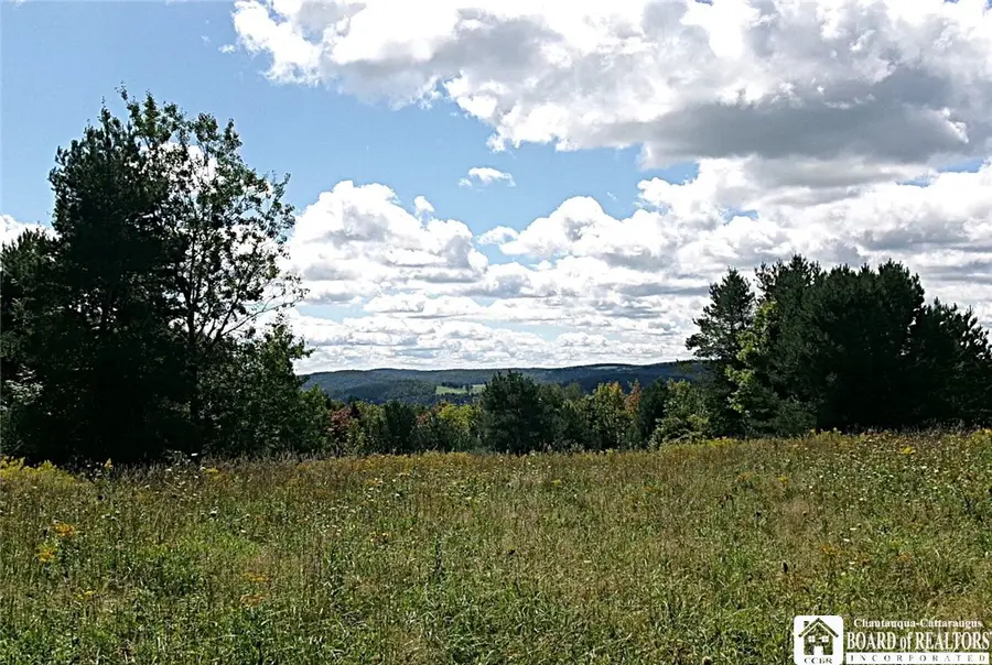 478 Dunham Road, Smyrna, NY 13464 - #2