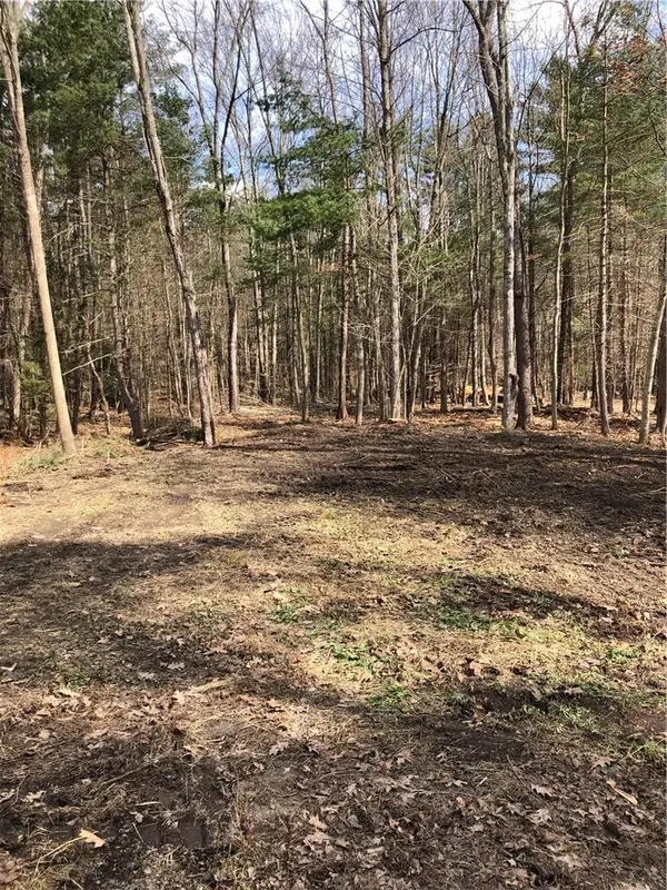 Maple Drive, Oneonta, NY 13820