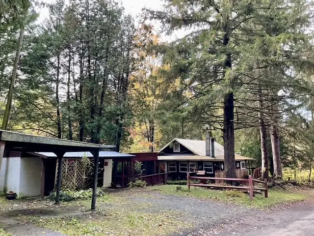 18 Nixon Road, Lowman, NY 14861 - #2