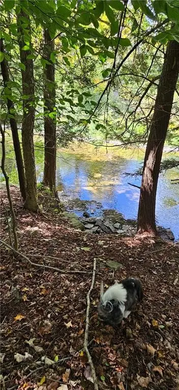 Lafayette Road, Cortland, NY 13045 - #3