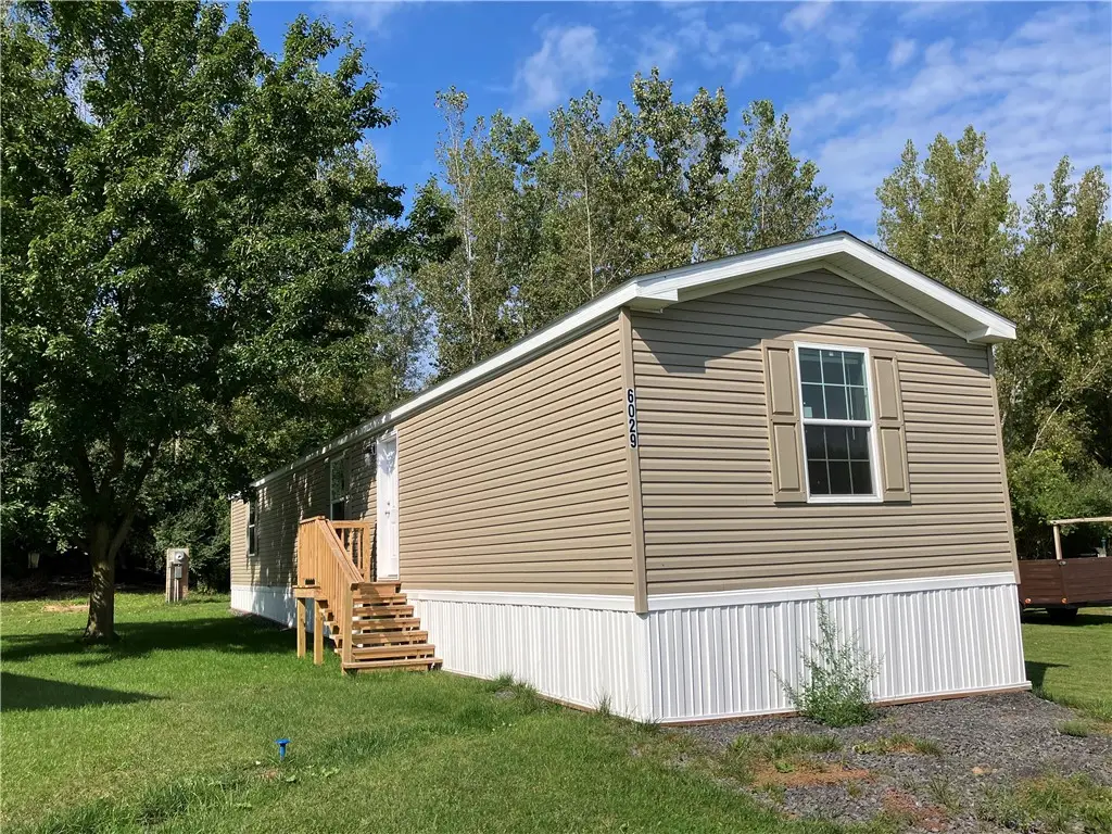 6029 Manley Drive, Red Creek, NY 13143 - #1