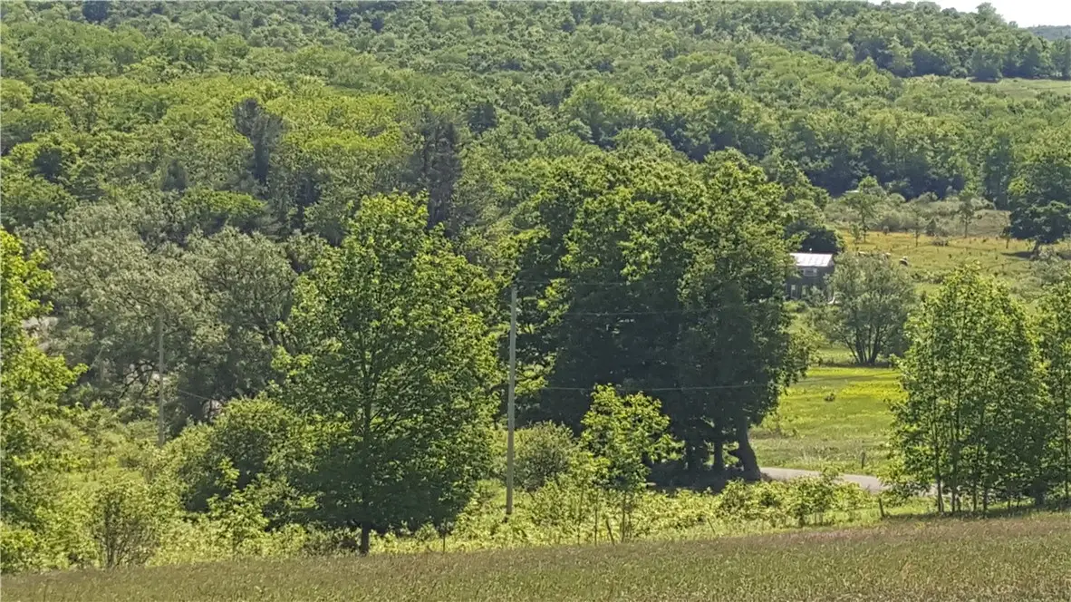 Stone Road, Cincinnatus, NY 13040 - #1