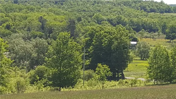 Stone Road, Cincinnatus, NY 13040