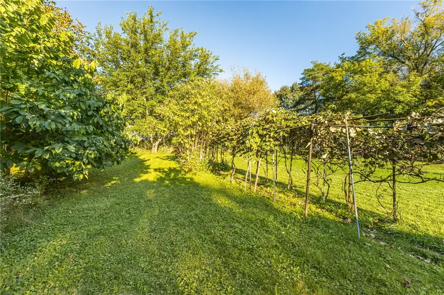 59 Jefferson Avenue, Canandaigua, NY 14424 - #2