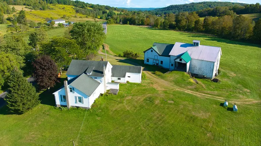 1022 Shapley Road, Bainbridge, NY 13733 - #3