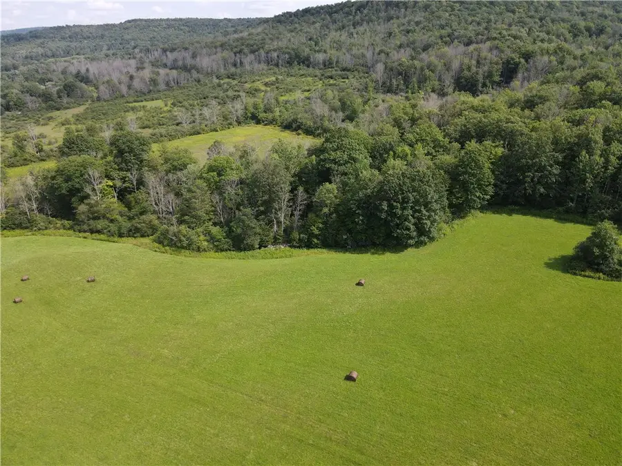 Lot 3 Mchenry Valley Road, Almond, NY 14804 - #3