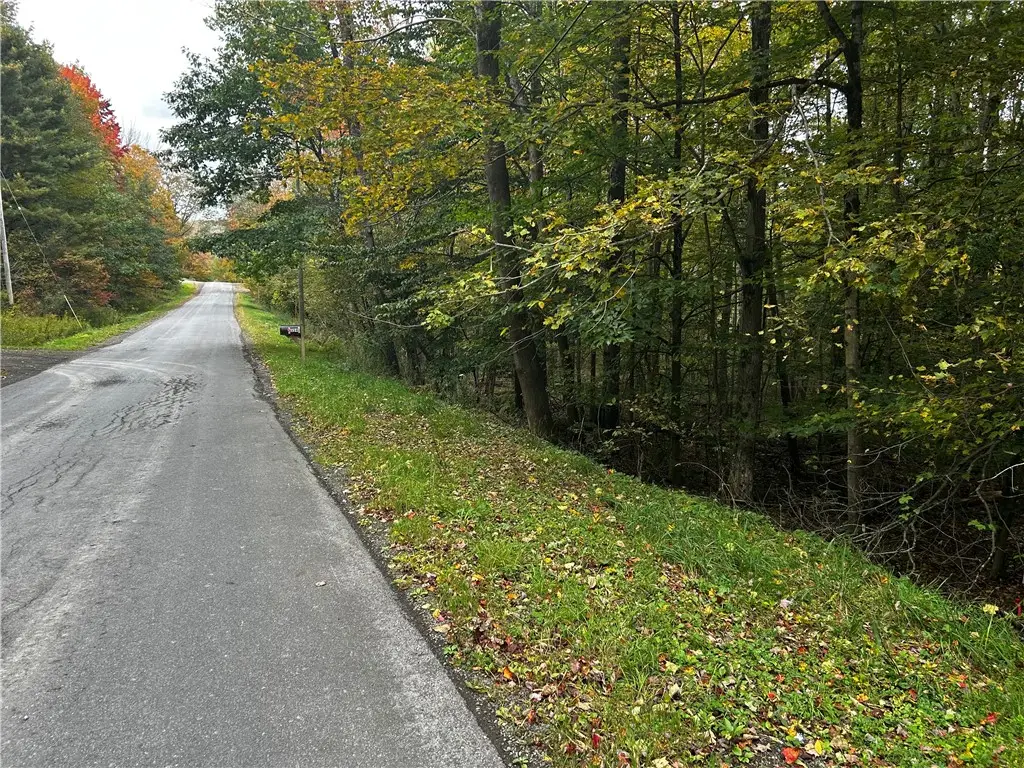 Mary Brown Hill Road, Laurens, NY 13796 - #1