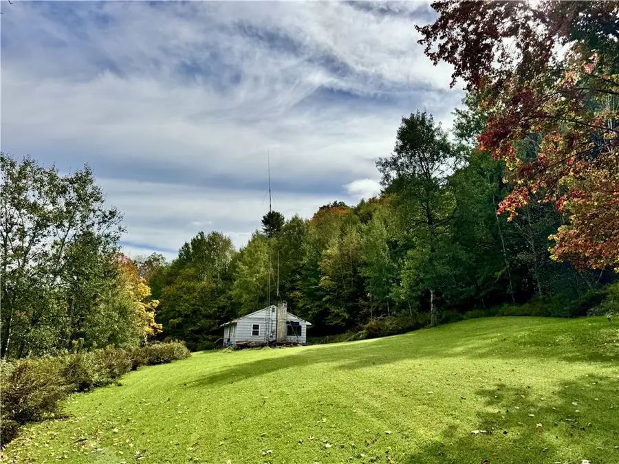 10338 State Highway 28, Meridale, NY 13806 - #3