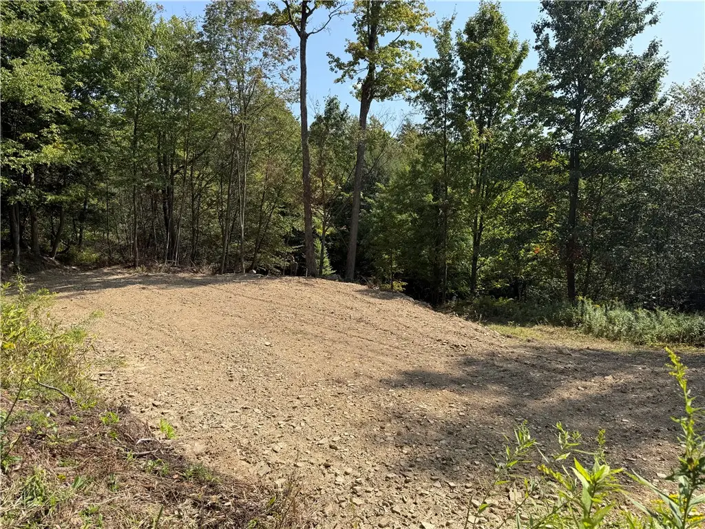 Alma Hill Road, Wellsville, NY 14895 - #1