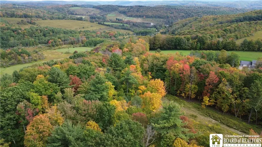 Union Valley Road, Olean, NY 14760 - #2