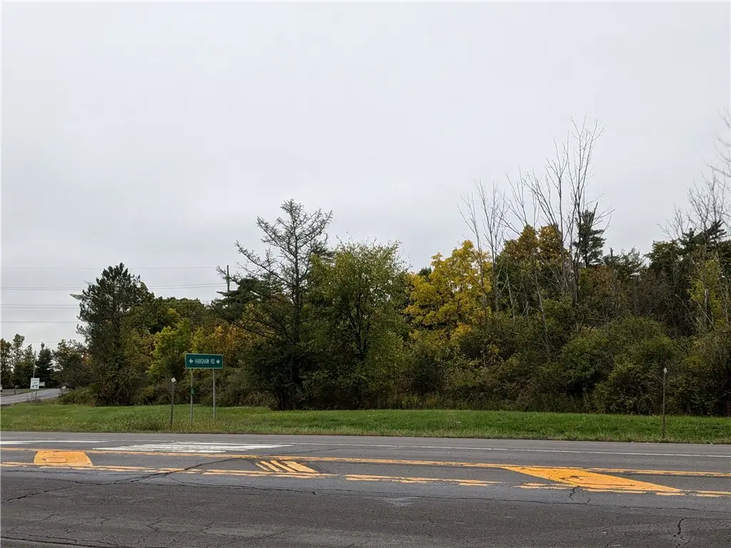 0 Lower Creek Road, Ithaca, NY 14850 - #1