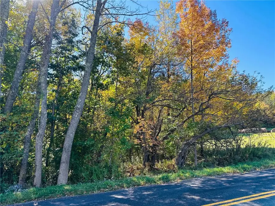 County Highway 3a, Unadilla, NY 13849 - #2