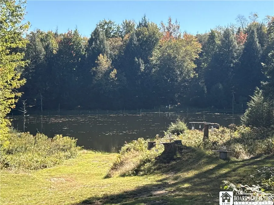 8114 Chautauqua Road S, Pomfret, NY 14784 - #3