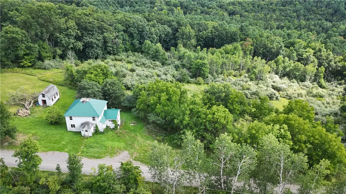 1615 Barr Road, Nichols, NY 13812 - #1