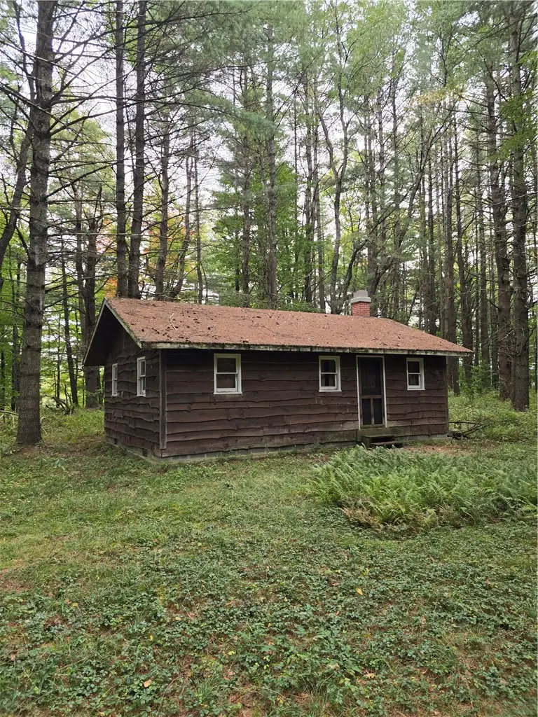 13537 Middle Branch Road, Harrisville, NY 13648 - #1