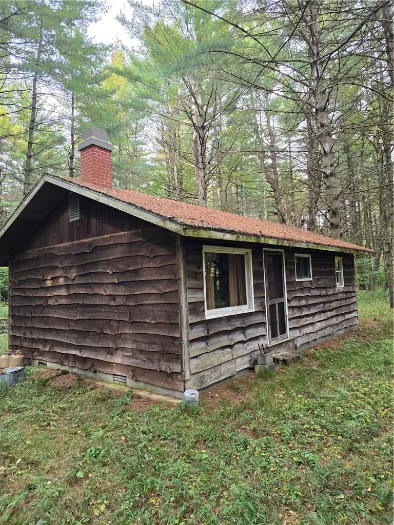 13537 Middle Branch Road, Harrisville, NY 13648 - #2