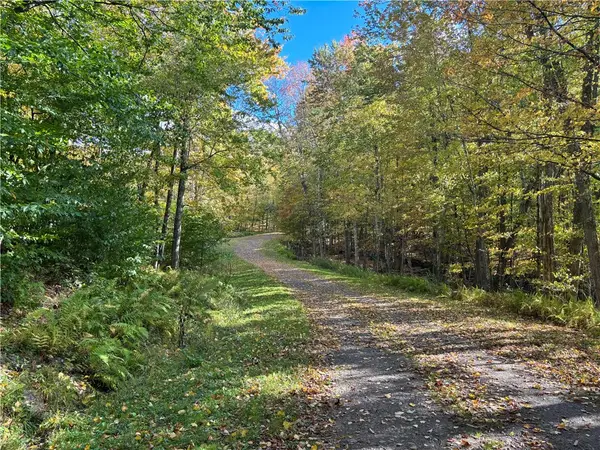Lot 14 Heatherland Lane, Halcottsville Twp, NY 12438
